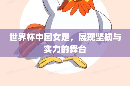 世界杯漯河市盈旭机械设备有限公司中国女足，展现坚韧与实力的舞台