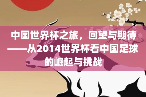 中国世界杯之旅，回望与期待——从2014世界杯看中国足球的崛起与挑战