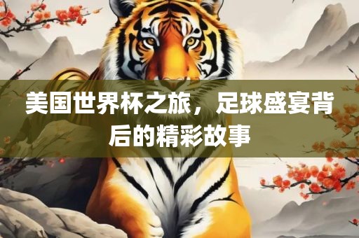 美国世界杯之旅，足球盛宴背后的精彩故事