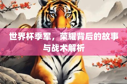 世界杯季军，荣耀背后的故事与战术解析