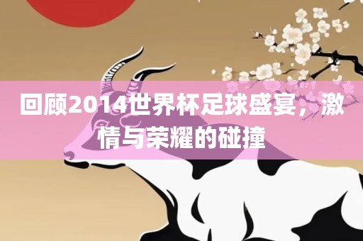 回顾2014世界杯足球盛宴，激情与荣耀的碰撞