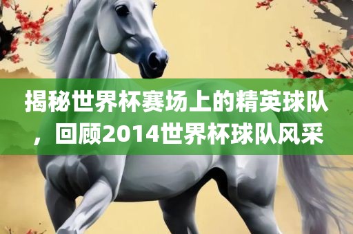 揭秘世界杯赛场上的精英球队，回顾2014世界杯球队风采