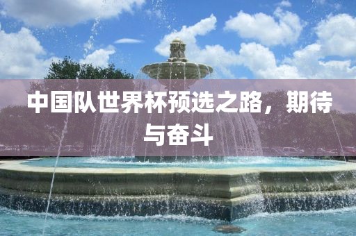 中国队世界杯预选之路，期待与奋斗