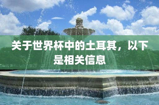 关于世界杯中的土耳其，以下是相关信息