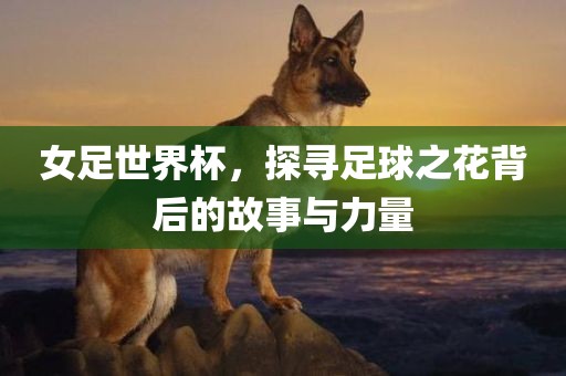 女足世界杯，探寻足球之花背后的故事与力量