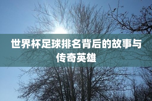 世界杯足球排名背后的故事与传奇英雄