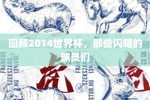 回顾2014世界杯，那些闪耀的球员们