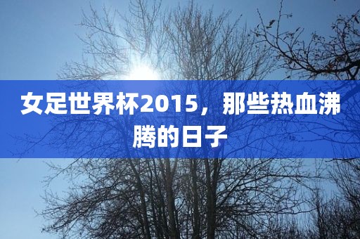女足世界杯2015，那些热血沸腾的日子