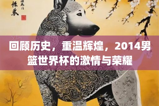 回顾历史，重温辉煌，2014男篮世界杯的激情与荣耀