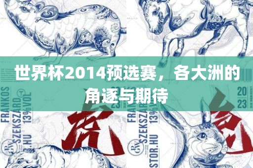 世界杯2014预选赛，各大洲的角逐与期待