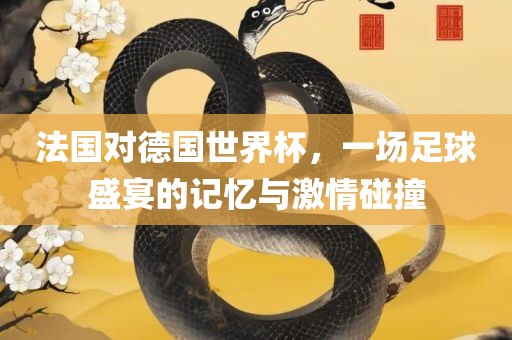 法国对德国世界杯，一场足球盛宴的记忆与激情碰撞