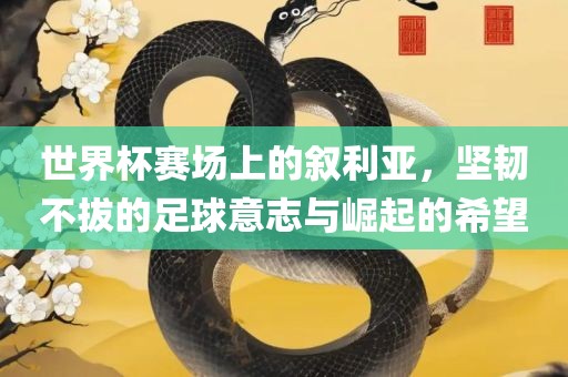 世界杯赛场上的叙利亚，坚韧不拔的足球意志与崛起的希望