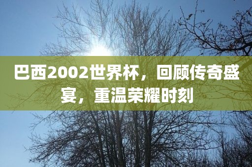 巴西2002世界杯，回顾传奇盛宴，重温荣耀时刻