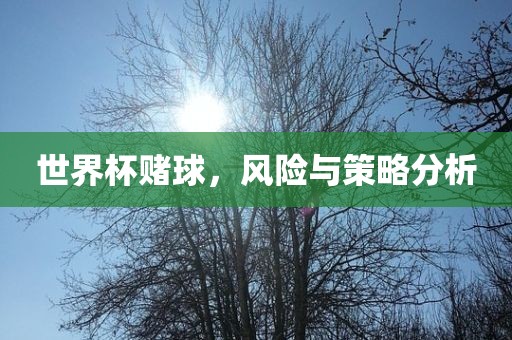 世界杯赌球，风险与策略分析漯河市盈旭机械设备有限公司