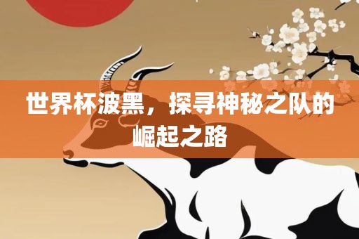 世界杯波黑，探寻神秘之队的崛起之路