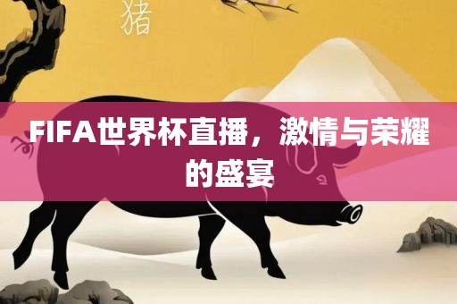 FIFA世界杯直播，激情与荣耀的盛宴