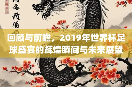 回顾与前瞻，2019年世界杯足球盛宴的辉煌瞬间与未来展望