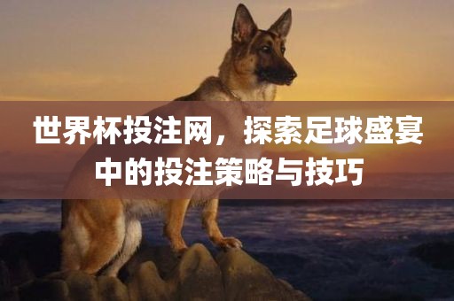 世界杯投注网，探索足球盛宴中的投注策略与技巧