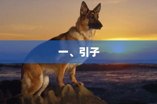 一、引子