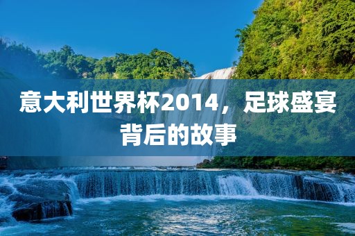 意大利世界杯2014，足球盛宴背后的故事