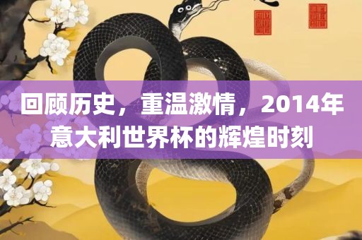 回顾历史，重温激情，2014年意大利世界杯的辉煌时刻