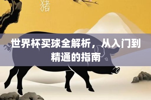 世界杯买球全解析，从入门到精通的指南漯河市盈旭机械设备有限公司