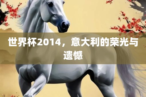 世界杯2014，意大利的荣光与遗憾