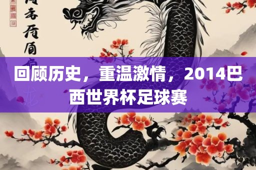 回顾历史，重温激情，2014巴西世界杯足球赛