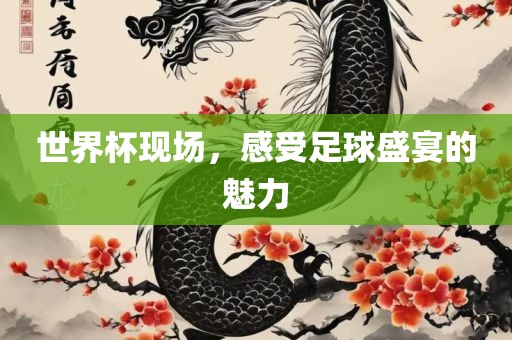 世界杯现场，感受足球盛宴的魅力