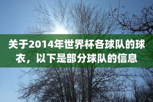 关于2014年世界杯各球队的球衣，以下是部分球队的信息