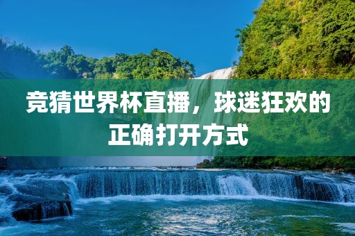 竞猜世界杯直播，球迷狂欢的正确打开方式
