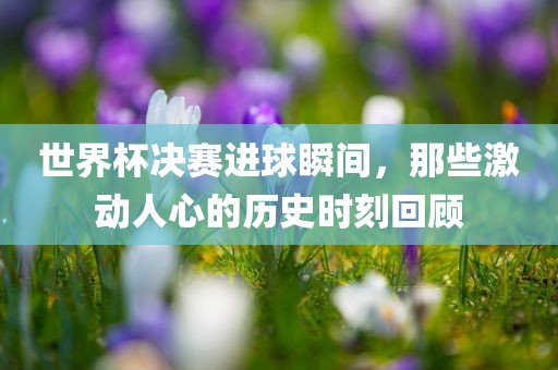 世界杯决赛进球瞬间，那些激动人心的历史时刻回顾