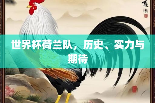 世界杯荷兰队，历史、实力与期待