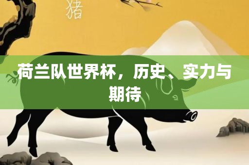 荷兰队世界杯，历史、实力与期待