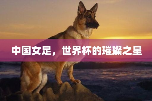 中国女足，世界杯的璀璨之星