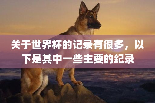 关于世界杯的记录有很多，以下是其中一些主要的纪录