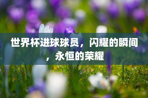 世界杯进球球员，闪耀的瞬间，永恒的荣耀