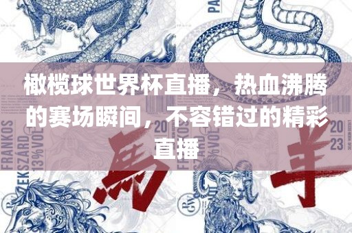 橄榄球世界杯直播，热血沸腾的赛场瞬间，不容错过的精彩直播
