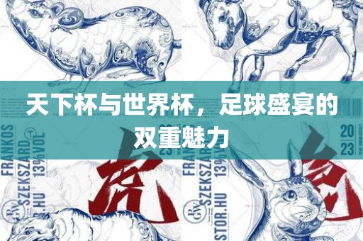 天下杯与世界杯，足球盛宴的双重魅力