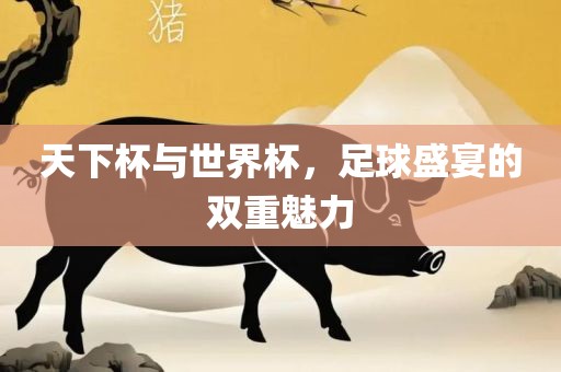 天下杯与世界杯，足球盛宴的双重魅力