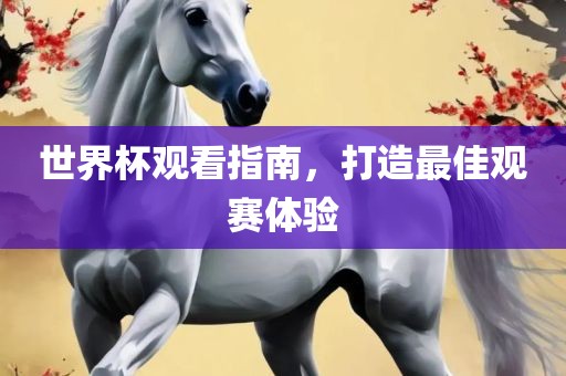 世界杯观看指南，打造最佳观赛体验
