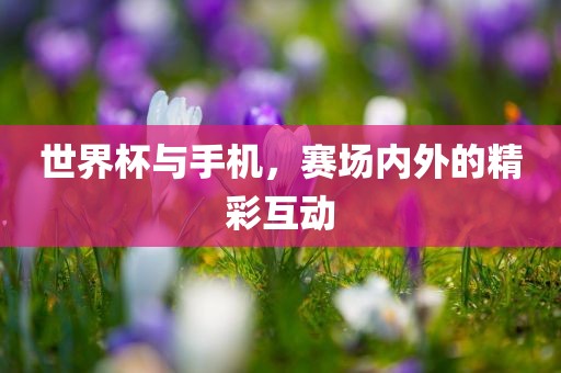 世界杯与手机，赛场内外的精彩互动