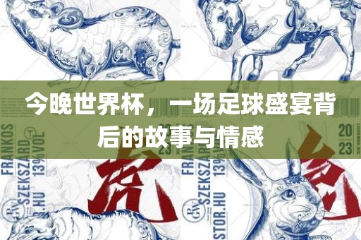 今晚世界杯，一场足球盛宴背后的故事与情感漯河市盈旭机械设备有限公司