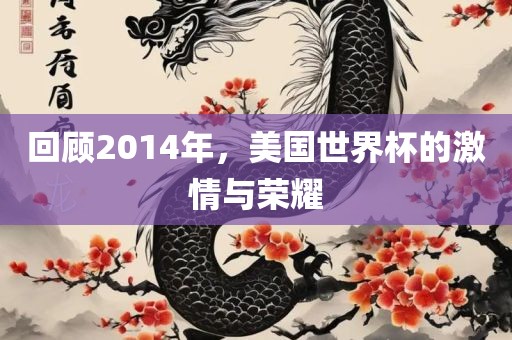 回顾2014年，美国世界杯的激情与荣耀