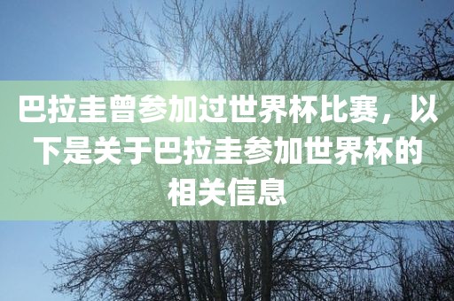 巴拉圭曾参加过世界杯比赛，以下是关于巴拉圭参加世界杯的相关信息