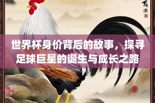 世界杯身价背后的故事，探寻足球巨星的诞生与成长之路