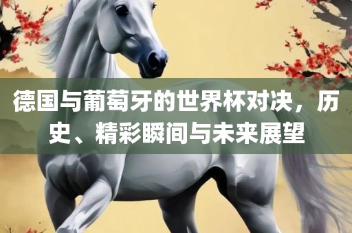 德国与葡萄牙的世界杯对决，历史、精彩瞬间与未来展望