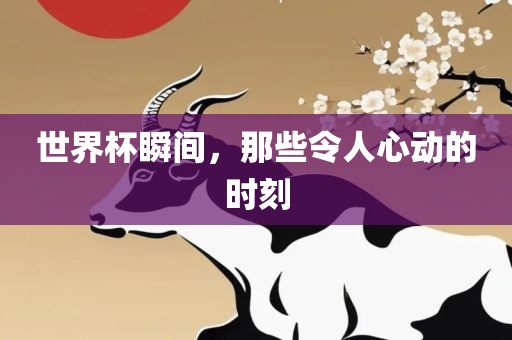 世界杯瞬间，那些令人心动的时刻
