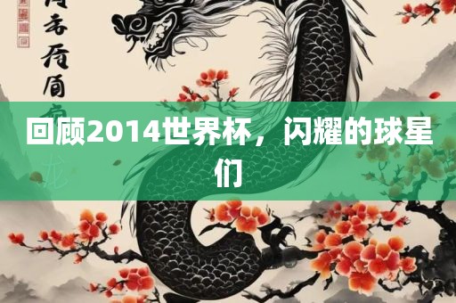 回顾2014世界杯，闪耀的球星们