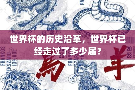 世界杯的历史沿革，世界杯已经走过了多少届？